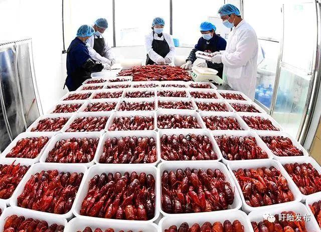 查看更多图片 >"五一"小长假期间,盱眙县苏合鲍贡水产品销售专业合作