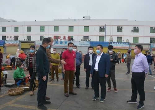 美兰区委书记冯琳带队深入辖区各大海鲜销售市场,检查指导水产品市场