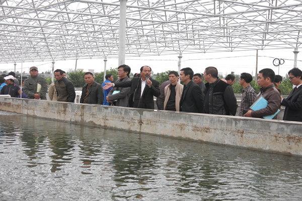 水产养殖 水产养殖保险多少钱