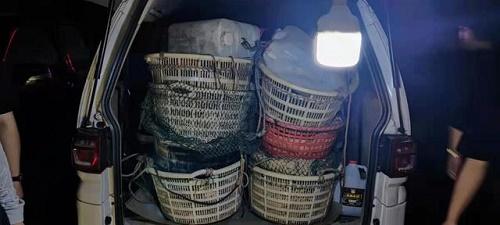 在长江口用绝户网捕捞水产品11人被采取刑事强制措施