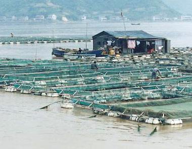 水产养殖业的种类