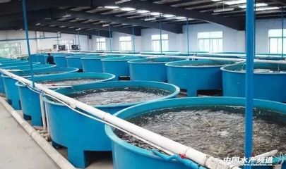 我国工厂化水产养殖发展与思考_技术