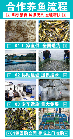 富洋水产养殖s