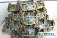 大湖蟹(雌、雄一级,淡水养殖)[供应]_鲜活水产品_世界工厂网中国产品信息库