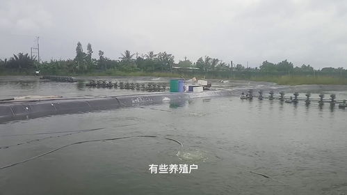水产养殖中,水珠多,水浑浊,您真的知道如何去处理