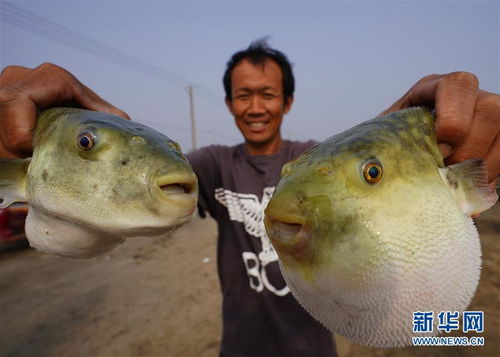 中秋 蟹肥虾鲜鱼香时