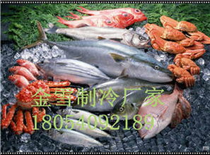 肥东肉类冷库设备如何进行有效管理