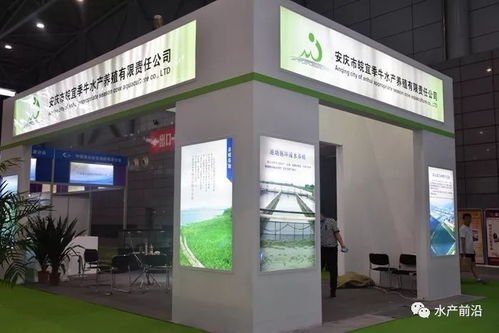 当前的市场适合养殖什么水产品 怎么养 价格如何 水产养殖业的大数据时代