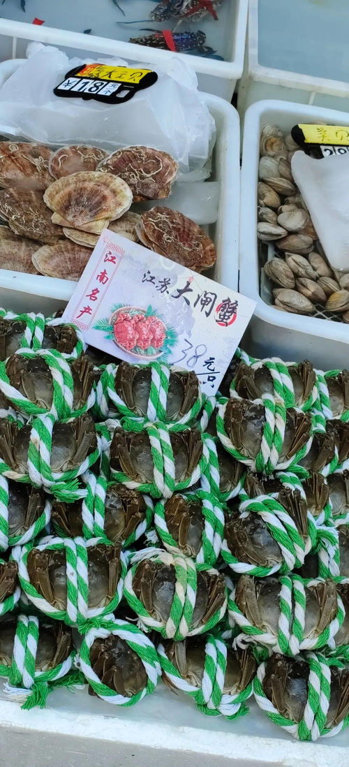 平靓正海鲜大量上市 广州黄沙水产市场各类海鲜价格平稳货量充足
