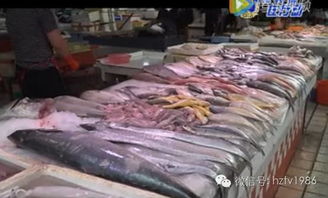 广东惠州水产品及水产干制品合格率97.6