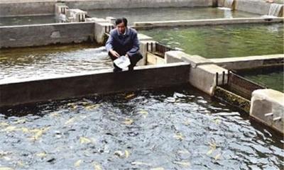 水产养殖降低饲料成本的几个方法