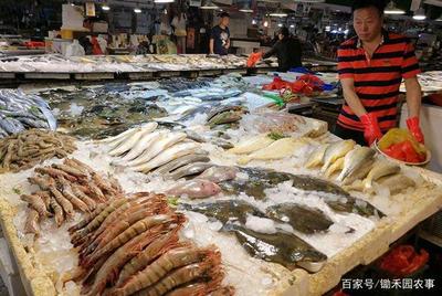 休渔期,那些在鱼市上活蹦乱跳的海鲜,都是“偷捕”来的?