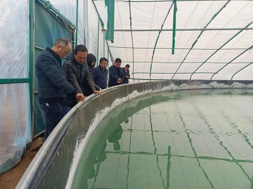 广东 海南 福建 广西养殖户速速围观,这样养石斑,赚5万 亩