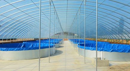 喀喇沁旗设施化冷水养殖异军突起推动冷水鱼产业提质升级