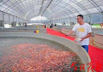 犀利!花都将创建国家级水产健康养殖和生态养殖示范区