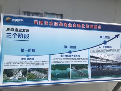 贵州现代渔业集团:数字赋能智慧生态渔业发展