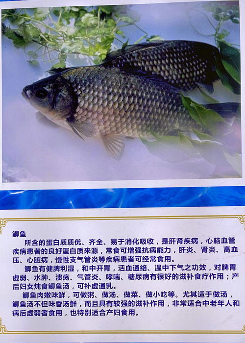 大荔有个 黄河水产馆 ,为全省面积最大基地