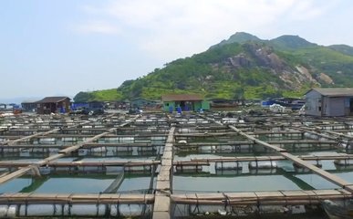 粤海饲料国内特种水产饲料领军者!打造现代养殖差异化竞争优势和水产饲料全能型企业!市场需求前景广阔!