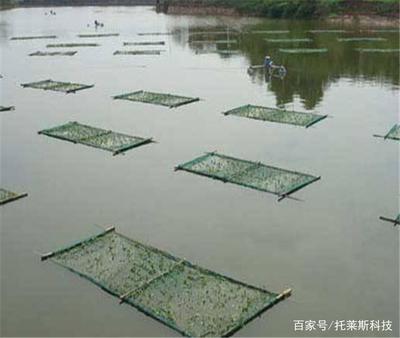 水产养殖智能监控系统,再也不用担心成活率!