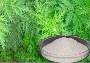 阴雨天气,水产养殖寄生虫问题的危害较大,杀虫药一定要慎用