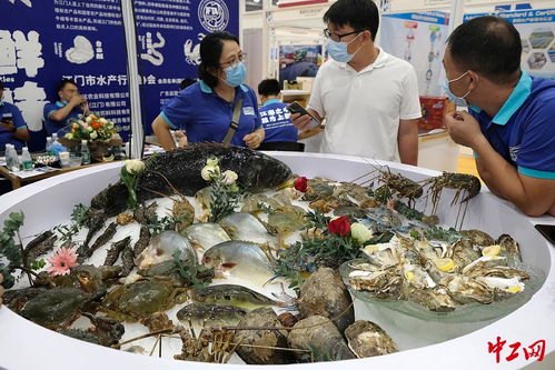 中国 广州 国际渔业博览会举行