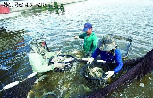 肺炎疫情 两岸关系急冻,台湾农渔产品外销大陆受严重影响