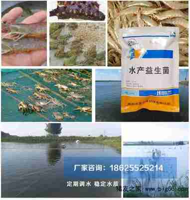 水产养殖水质差用什么调水好