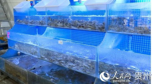 新雪域水产品广场 打造 节水型市场 助力节水型城市创建