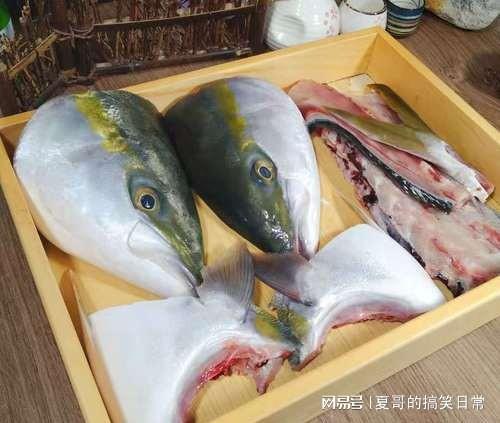 日本核污排海,台湾人却欢呼雀跃