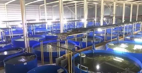 自豪了!德清的渔业养殖尾水治理工作又吸引了国家级专家们前来…_财经_网