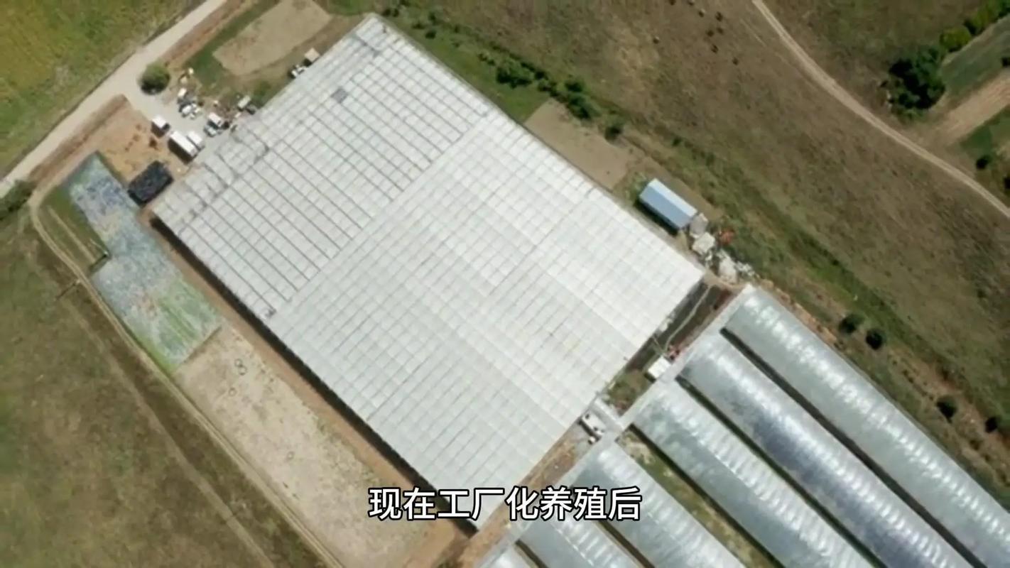 温州首个!苍南这个基地建成投用!温州黔羽智慧水产养殖基地