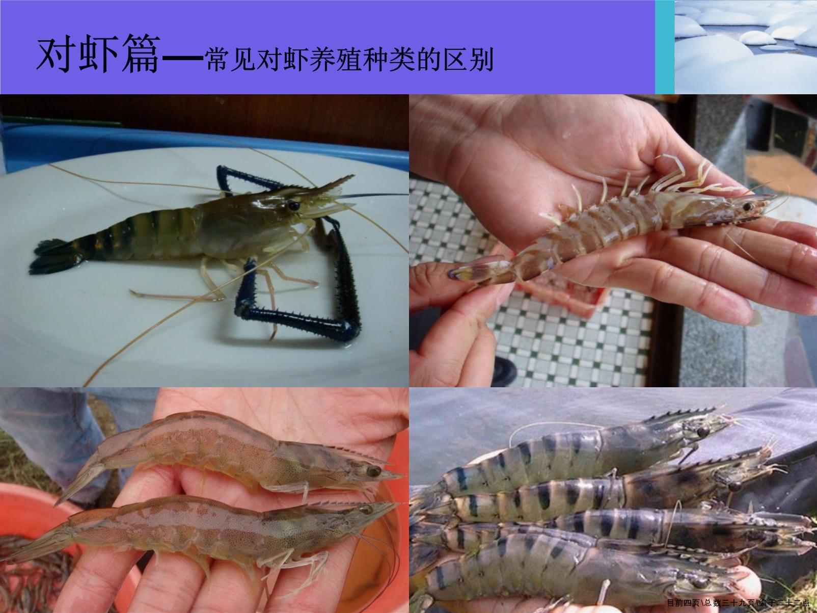 水产养殖基础知识培训(初级班)