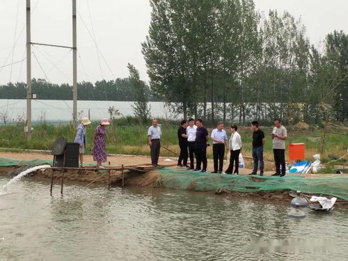 省水产研究院莅临民权县调研水产养殖等工作