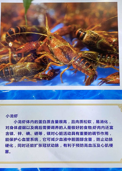 大荔有个 黄河水产馆 ,为全省面积最大基地