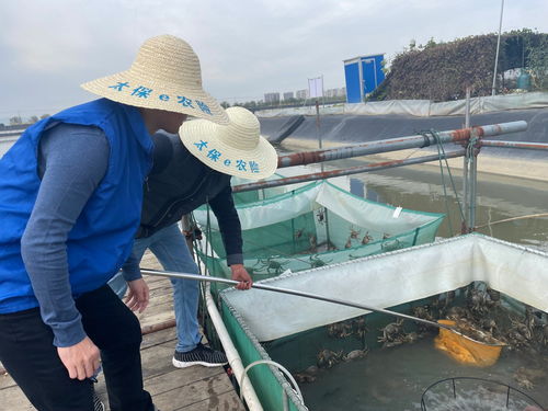气象万千 兜底万千气象