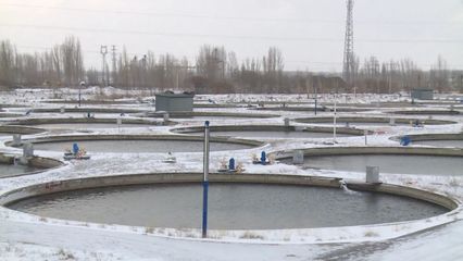 新疆巩留:鱼跃池水起 “鲟”出新生活