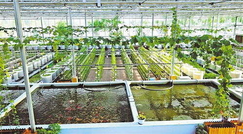 宁夏 让更多优质水产品 游 向千家万户