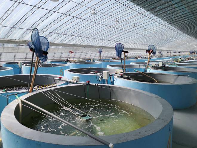水产养殖增产促效益,关键在于降低饵料系数_饲料_池塘_水质