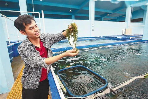 创新水产养殖模式,做用地 减法 ,做空间 加法 ,产出增六成以上 冯家湾演绎