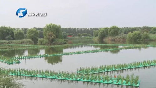 河南省 四优四化 优质水产品标准化养殖示范观摩培训会顺利开展