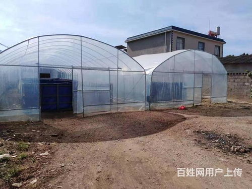 转让水产养殖场及水产品养殖业务