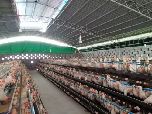 茂兰镇发展四大产业 助推脱贫攻坚——水产品养殖篇
