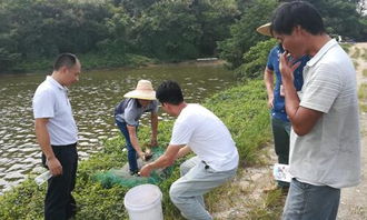 强化水产品质量安全监管，保障消费者权益