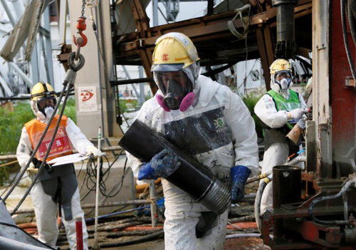 日本32条腿章鱼与水产养殖暗雷 菅义伟政府的潜在危机