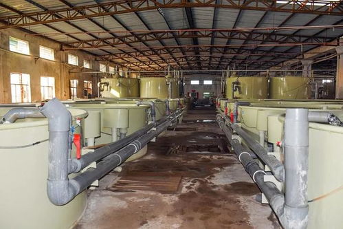 惠州海燕水产 高品质海水鱼养殖向内陆拓展的新篇章