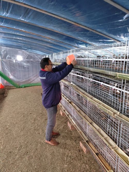 养殖鹧鸪 农家增收好门路与水产品养殖的多元发展