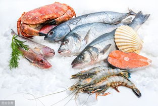 2019年上半年国家产地水产品兽药残留监控情况发布 全国养殖水产品质量安全保持较高水平